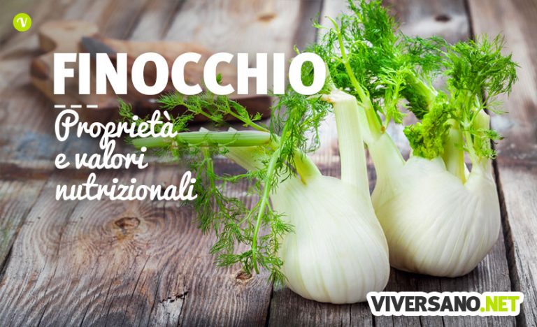 Finocchio proprietà valori nutrizionali benefici e controindicazioni