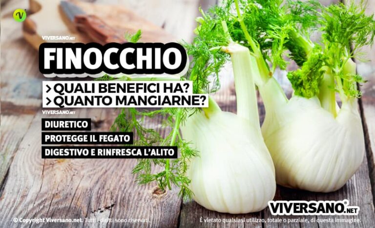 Finocchio Propriet Valori Nutrizionali Benefici E Controindicazioni