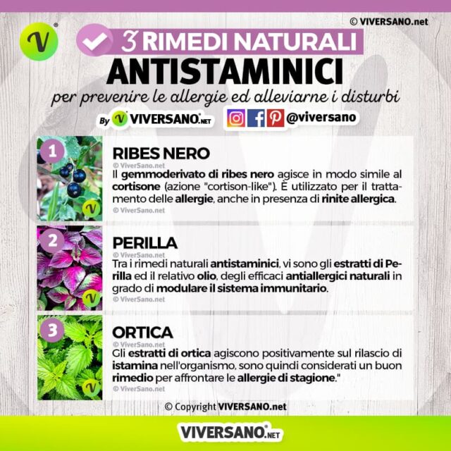 Antistaminico naturale qual è il migliore Ecco i 10 più efficaci