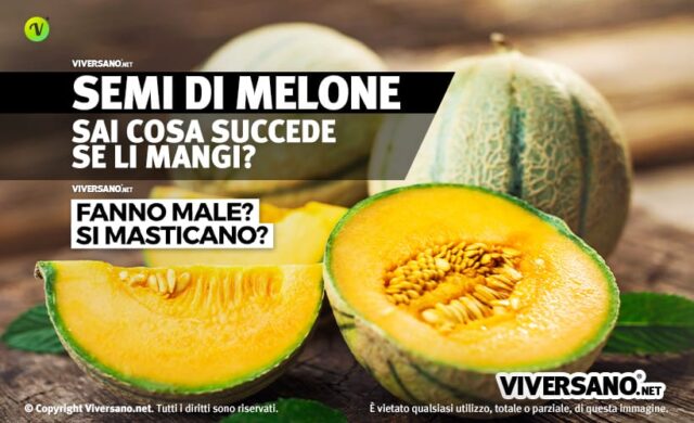 I Semi Di Melone Si Mangiano Quali Propriet Hanno