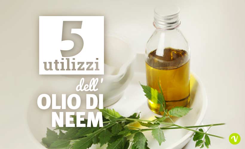 Olio di Neem: proprietà, come usarlo e controindicazioni