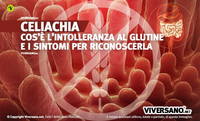 Celiachia: I Sintomi Dell'intolleranza Al Glutine Diffusa Fra Adulti E ...