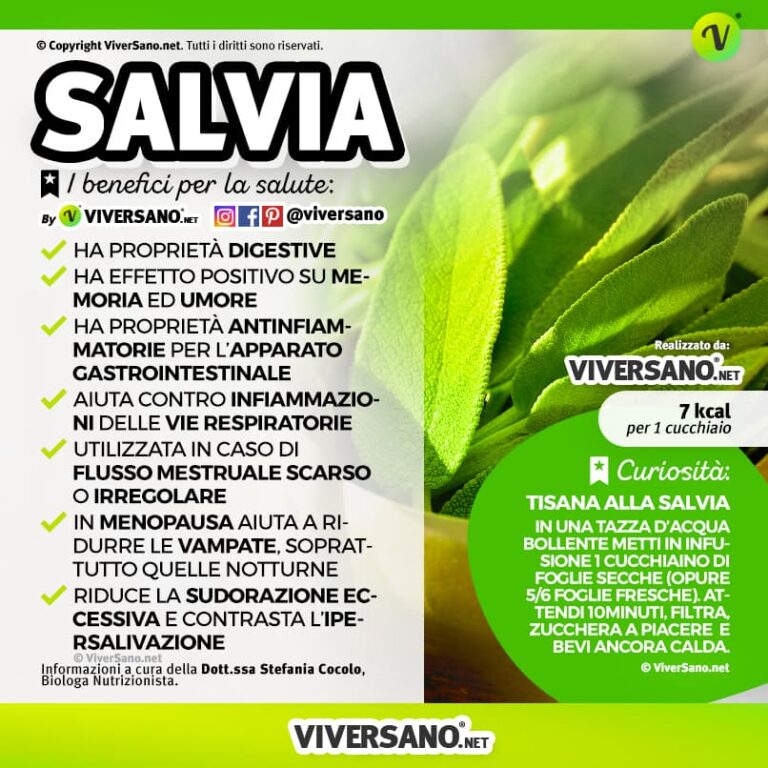 Salvia Proprietà Benefici E Come Usare Le Foglie Per Infusi O Ricette