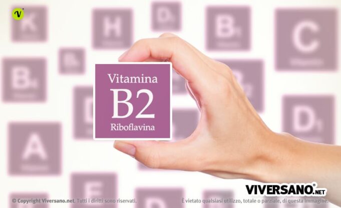 Vitamina B2 (riboflavina): A Cosa Serve, Carenza E Alimenti Ricchi