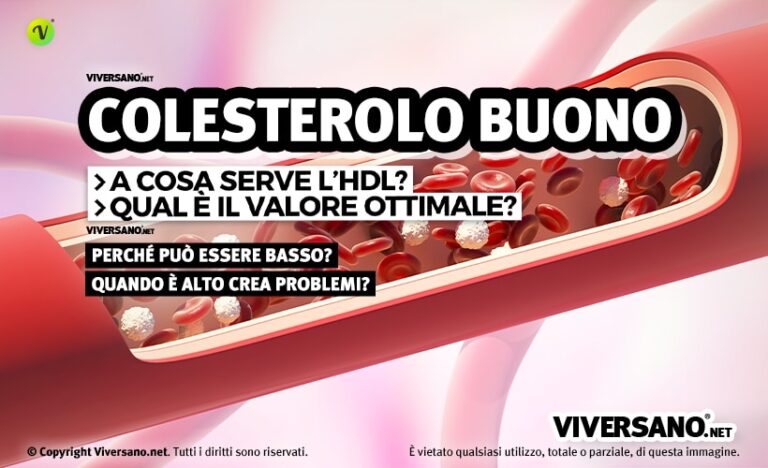 Colesterolo HDL: Cos'è, Valori Normali E Perché Si Definisce Buono